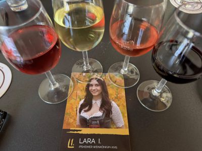 506254494 1199175678915496 1125576217190662434 n