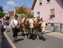 1100_jahrfeier_lonnerstadt_2010_054.jpg 1100_jahrfeier_lonnerstadt_2010_054.jpg