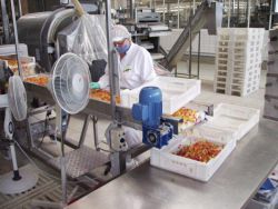 img_2410.jpg img_2410.jpg