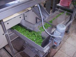 img_2417.jpg img_2417.jpg